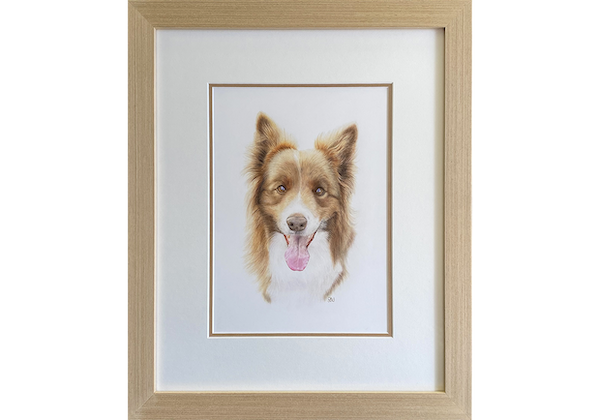 Framed Dog Drawing