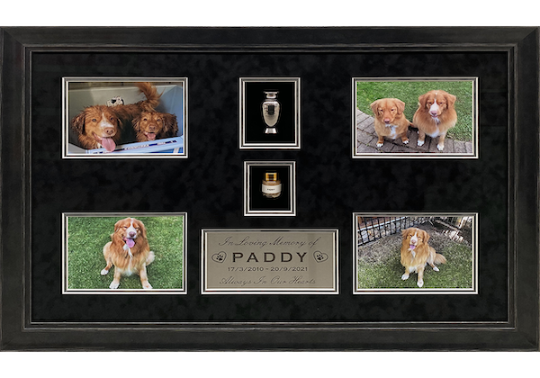 Framed Dog Memorabilia
