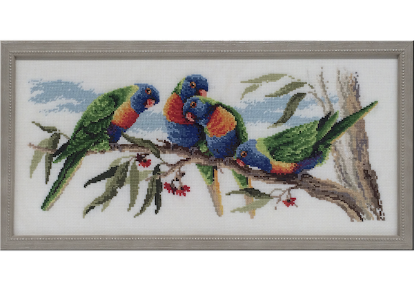 Framed Rosella cross stitch